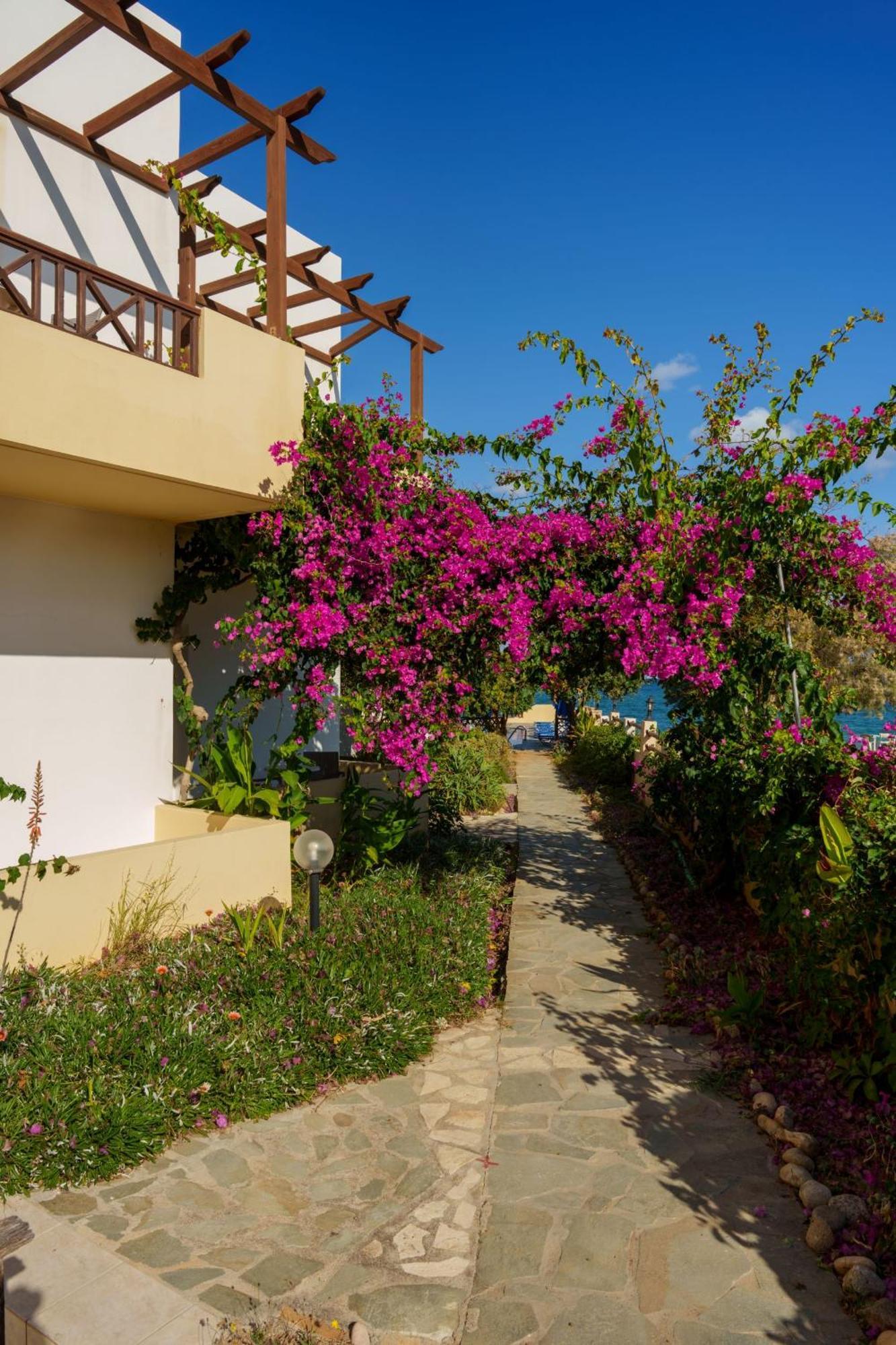 Dedalos Beach Hotel Sfáka Exterior foto