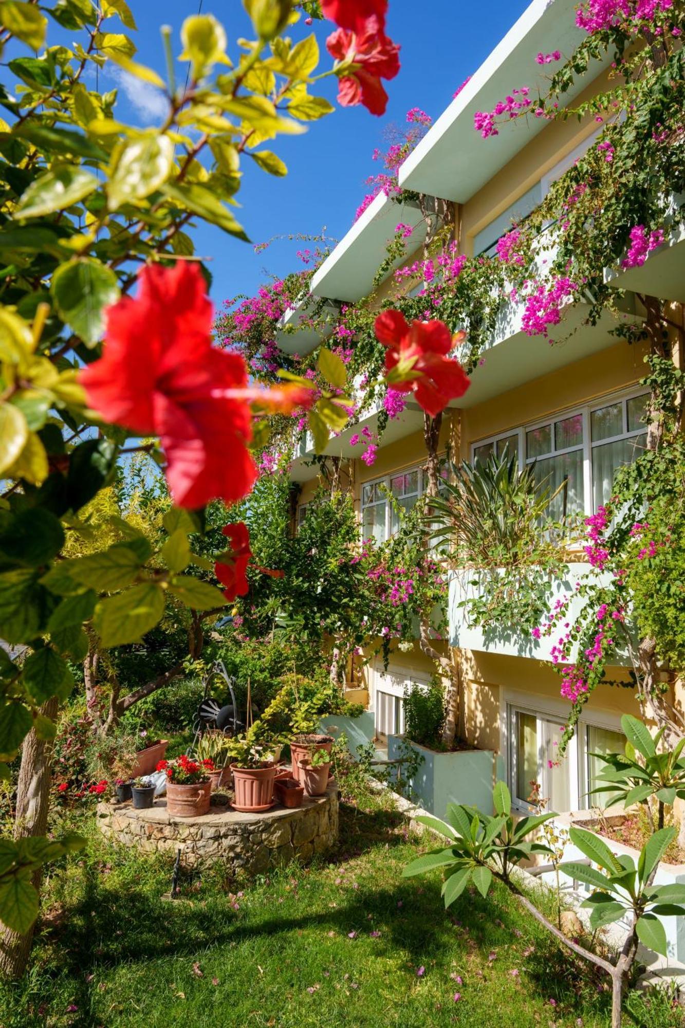 Dedalos Beach Hotel Sfáka Exterior foto