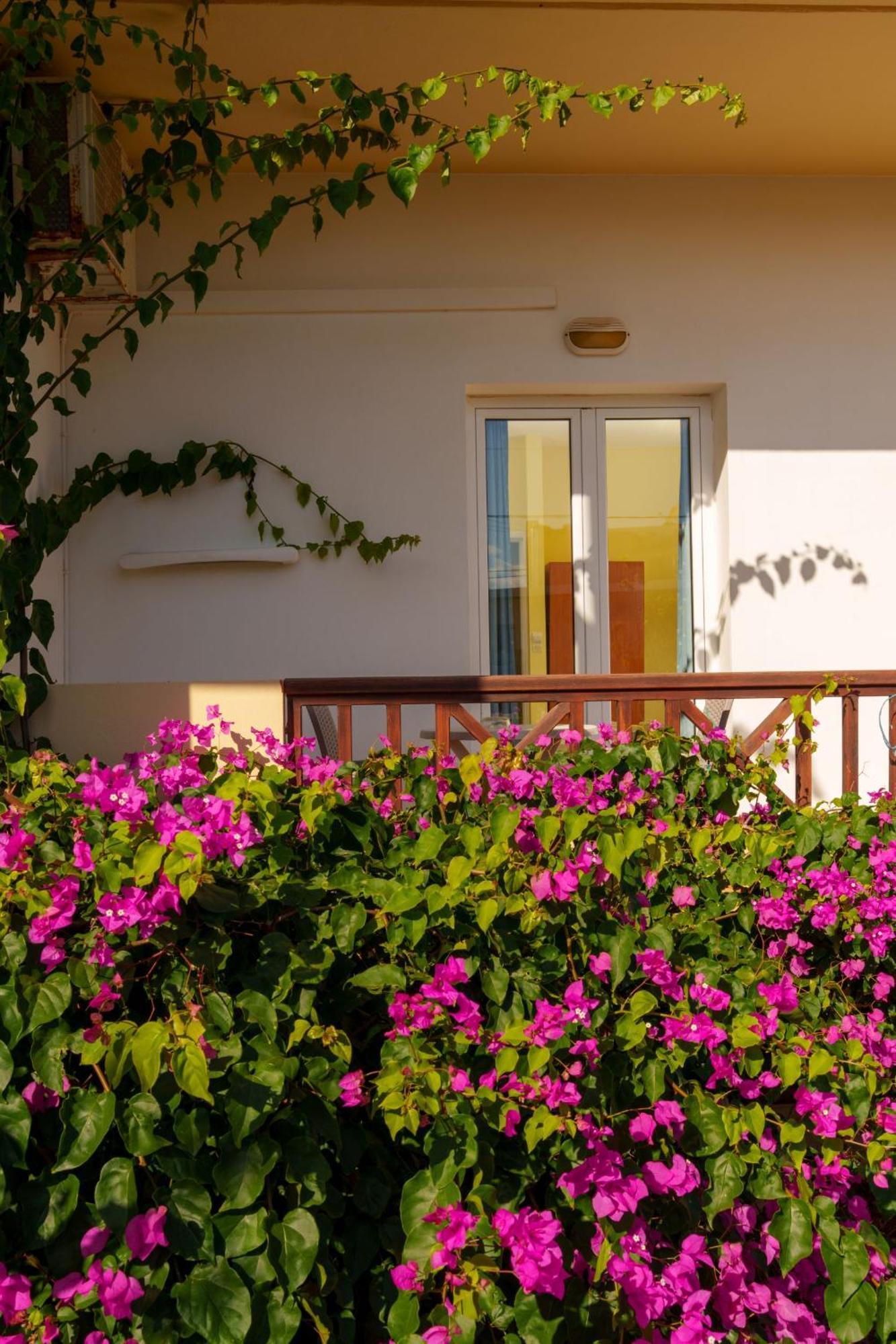 Dedalos Beach Hotel Sfáka Exterior foto